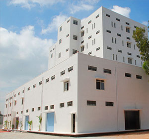 Manufacturers of high quality whole wheat flour